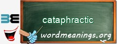 WordMeaning blackboard for cataphractic